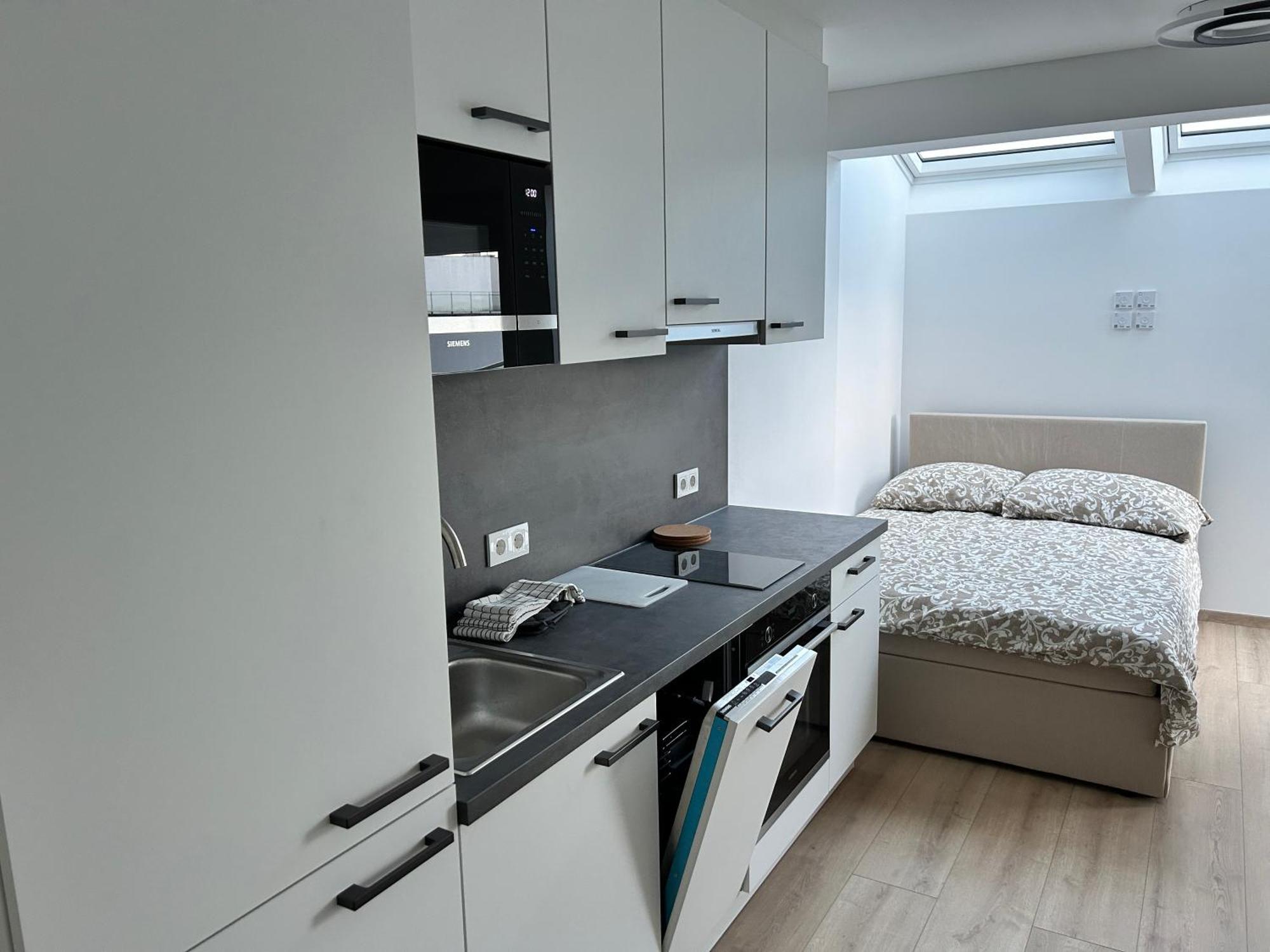 Asp Modern Apartments With Balcony & Free Parking เวียนนา ภายนอก รูปภาพ